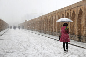 برف «نصف‌جهان» را سفیدپوش کرد + فیلم