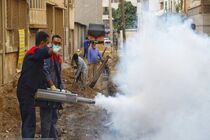 سمپاشی بیش از سه هزار مکان در هرمزگان/شهرستان جاسک در معرض شیوع مالاریا