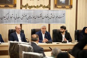 وزارتخانه صمت برای تولید دانش بنیان خط سبز ارزی باز کرده است