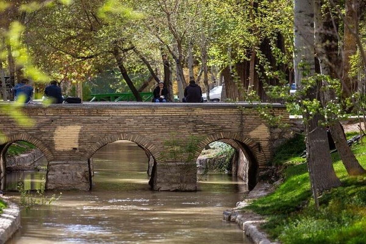 مادی رهنان