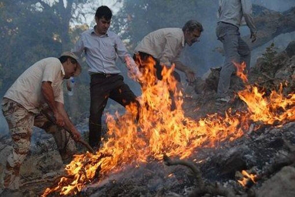 آتش سوزی مله کوه پلدختر