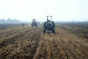  رشد ۷۰ درصدی توزیع انواع کود شیمیایی در خراسان رضوی