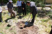 توسعه باغ گیاه‌شناسی جهاد کشاورزی ایلام با احداث ذخیره‌گاه ژنتیکی واریته‌های مختلف انجیر بومی
