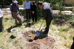 توسعه باغ گیاه‌شناسی جهاد کشاورزی ایلام با احداث ذخیره‌گاه ژنتیکی واریته‌های مختلف انجیر بومی