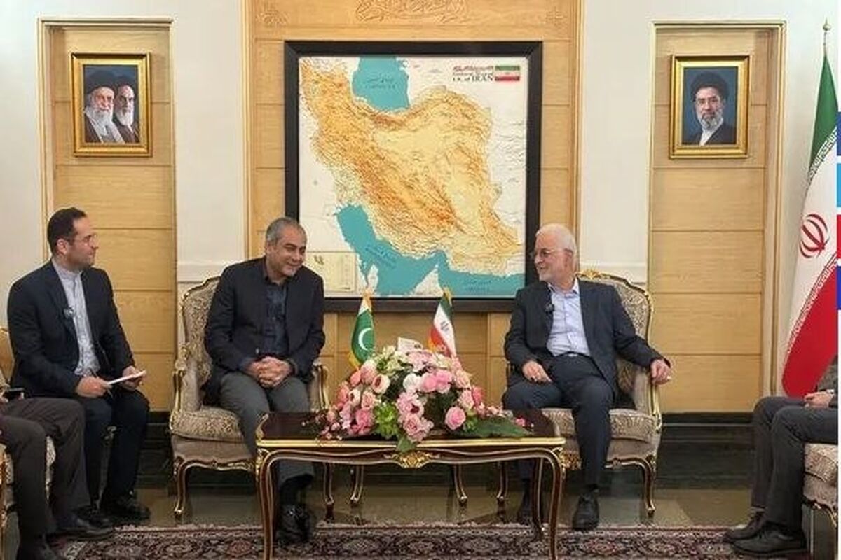 وزیر کشور پاکستان