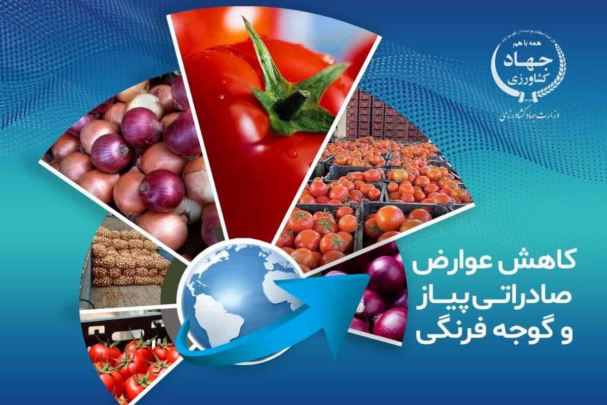 وزارت جهاد