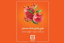 طرح حساب سپرده‌گذاری ممتاز یلدا تمدید شد