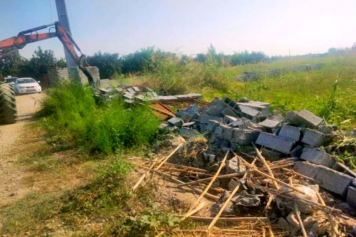 قلع و قمع در بابل