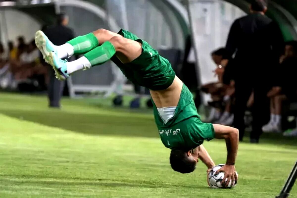 نادر محمدی