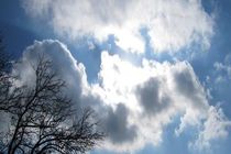 وضعیت جوی و دریایی هرمزگان