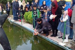ماهی قرمز؛ تهدیدی برای اکوسیستم‌های آبی