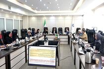 بهای متعادل‌سازی لایحه بودجه 1403، نامتعادل شدن بودجه خانوار و تولید است