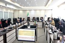 بهای متعادل‌سازی لایحه بودجه 1403، نامتعادل شدن بودجه خانوار و تولید است