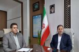 تولید و کاشت ۱.۵ میلیون نهال در ایلام همزمان با هفته منابع طبیعی