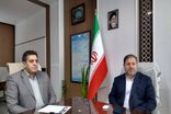 تولید و کاشت ۱.۵ میلیون نهال در ایلام همزمان با هفته منابع طبیعی