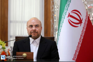 رئیس مجلس شورای اسلامی به آفریقای جنوبی سفر کرد