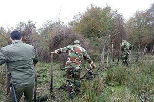 رفع تصرف  اراضی ملی در مناطق حفاظت شده سرولات  شهرستان رودسر