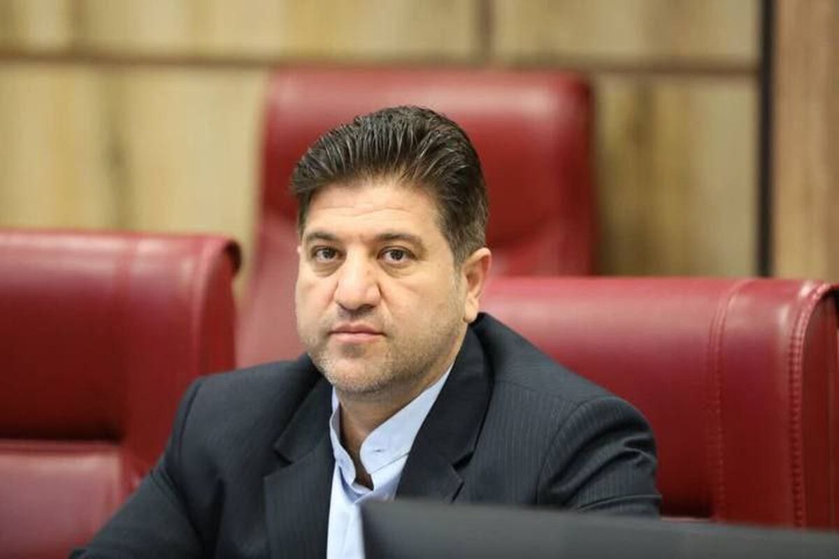 شریفی