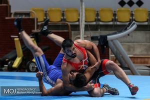 تیم ملی کشتی فرنگی ایران قهرمان آسیا شد