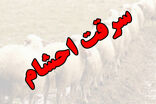 دستگیری ۲ سارق احشام در چرداول