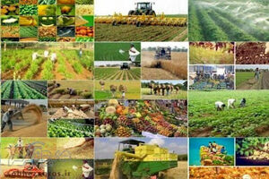 اعتبارات هزینه‌ای مازندران در سال ۱۴۰۵ افزایش یافت