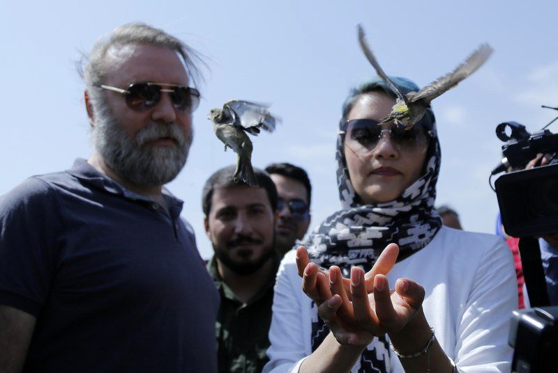 100 جانور از گونه های مختلف در زیستگاه های خود رها سازی شدند
