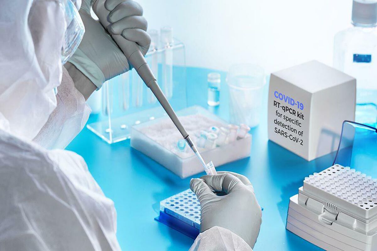 ویروس کرونا