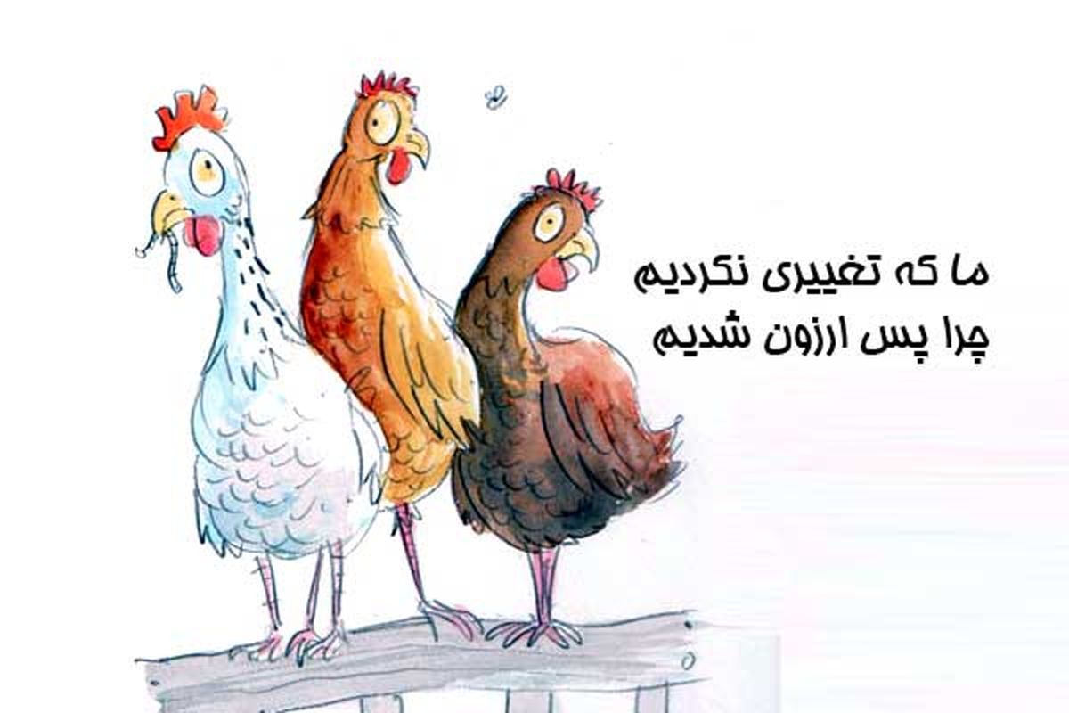 مرغ و گرانی