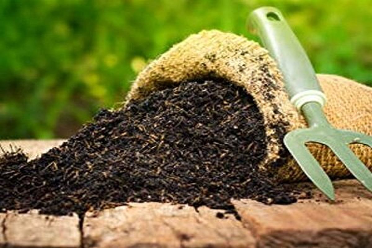 کود شیمیایی قاچاق