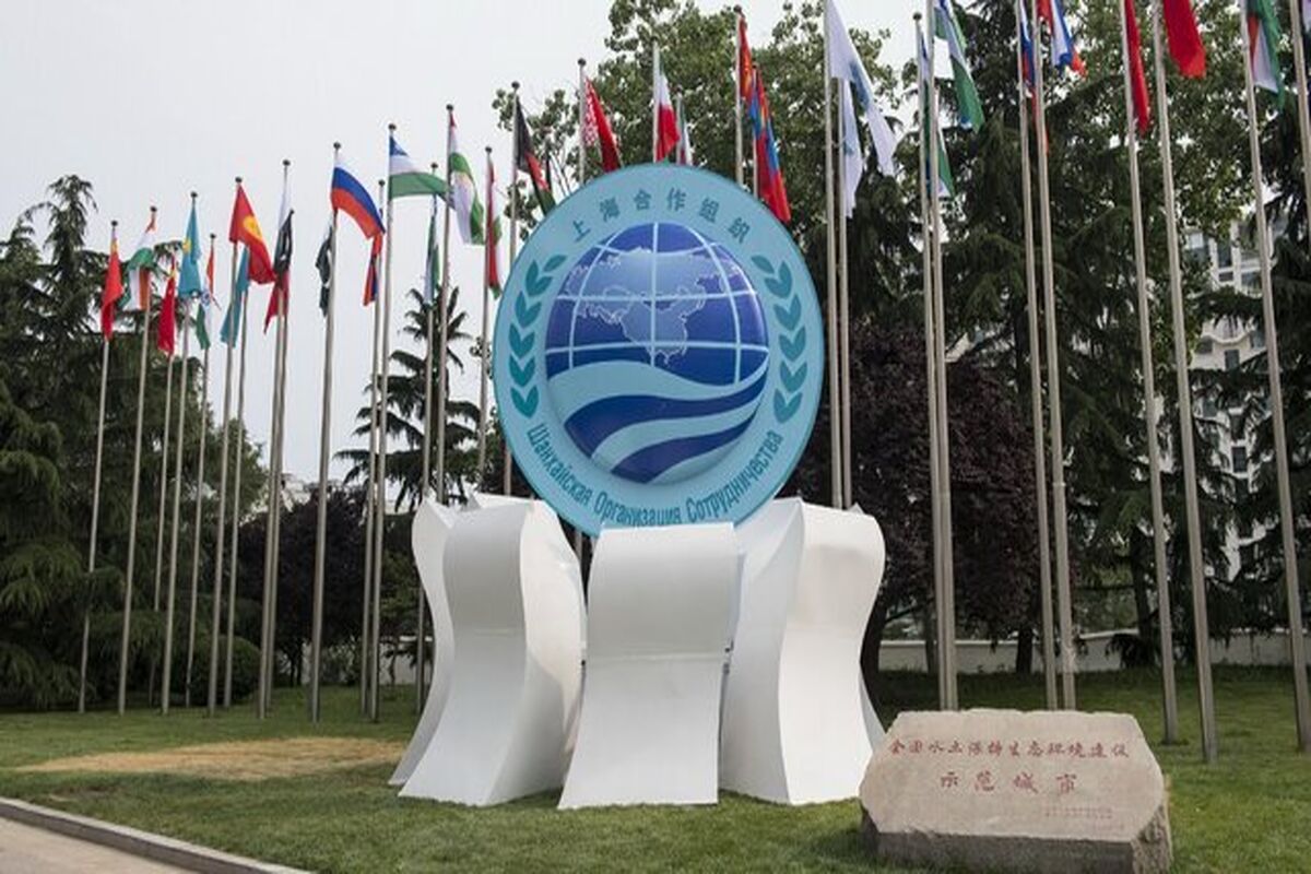 سازمان همکاری شانگهای