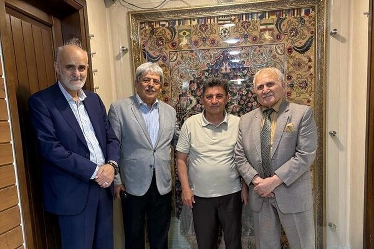 قلعه نویی