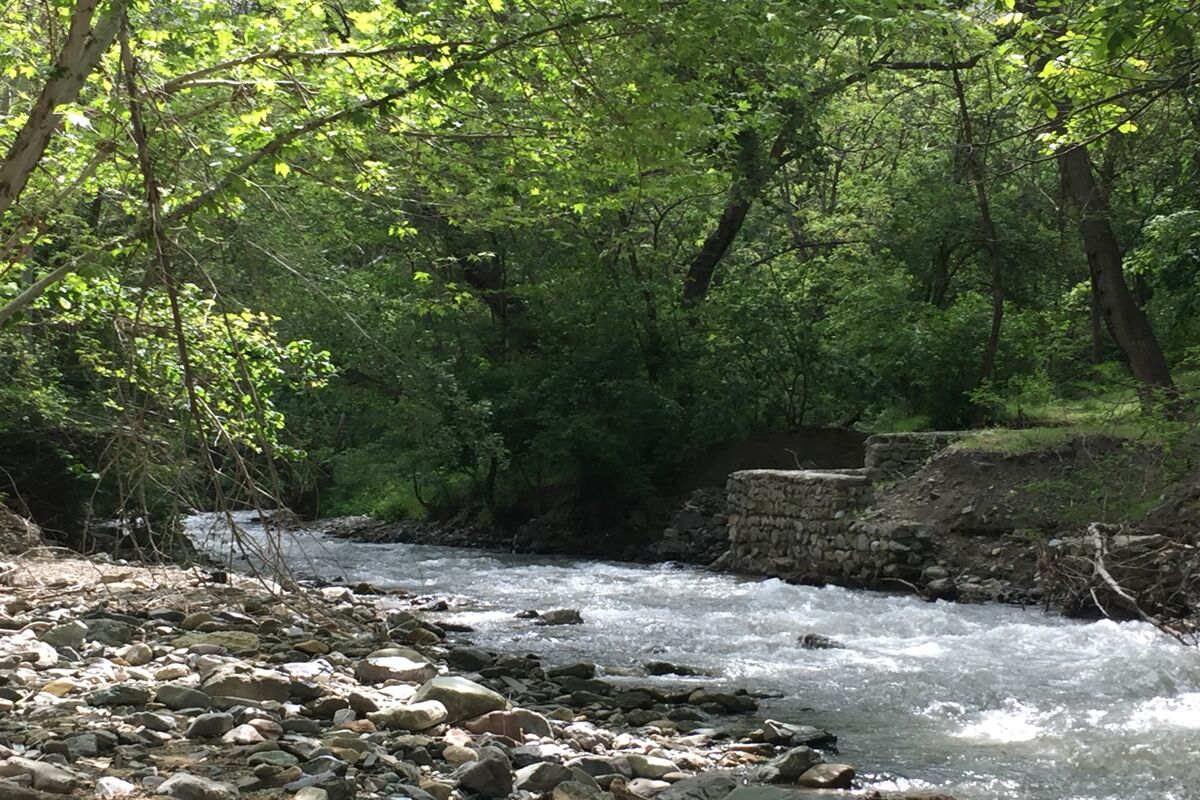 کوشک زر ساوجبلاغ