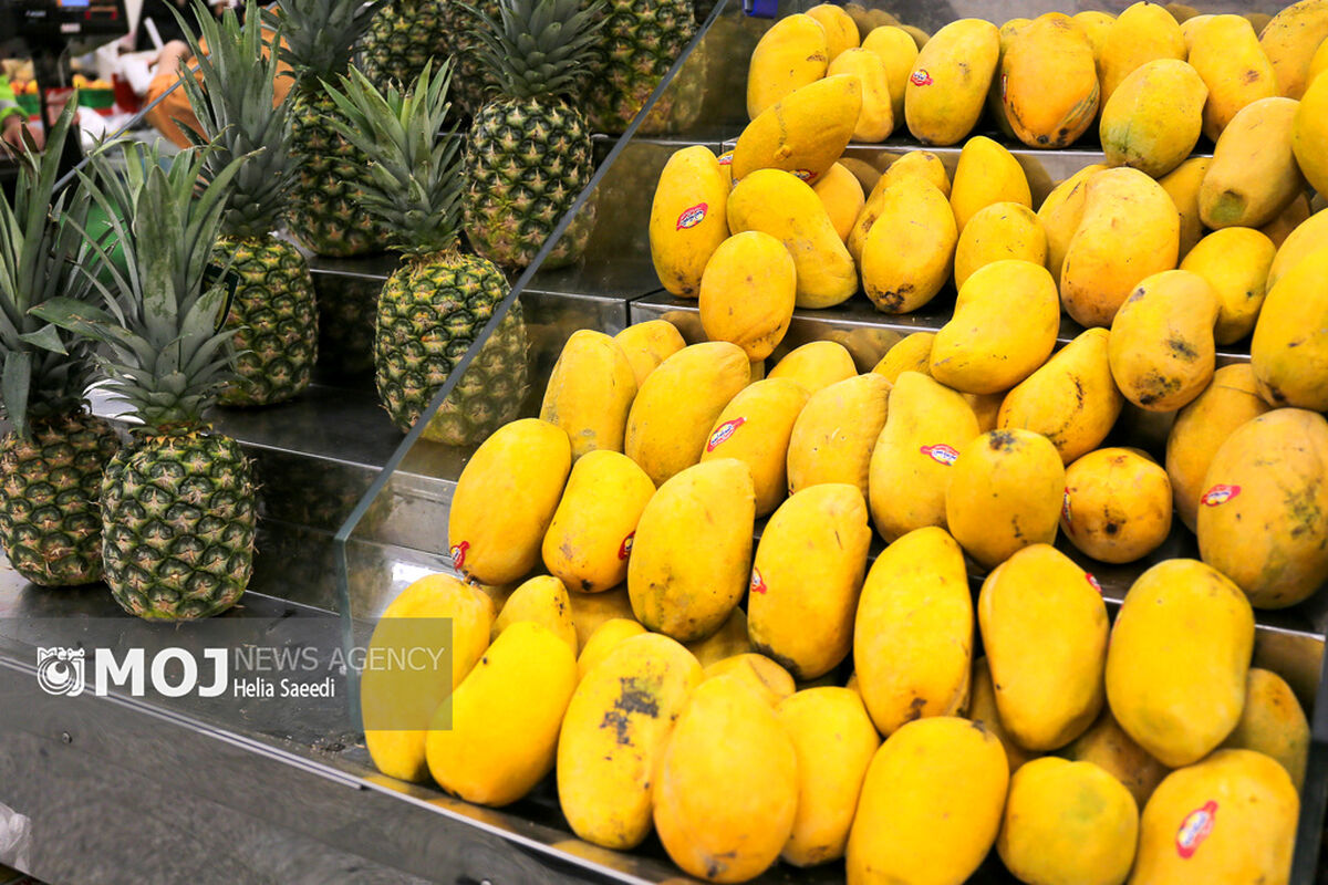 میادین میوه و تره بار