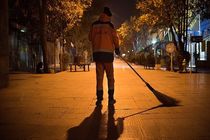 غروب زندگی پاکبان  رشتی در صبح پائیزی 