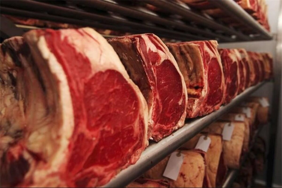 واردات گوشت قرمز