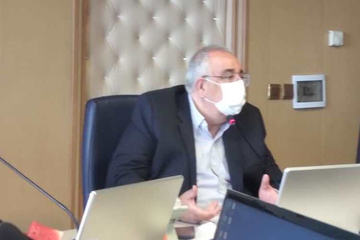 شاهین شیرانی