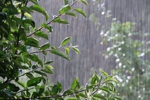 هشدار سطح نارنجی در خصوص بارش باران و کاهش دما در خوزستان
