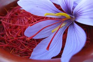 Iran's considerable saffron export in last year