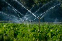 یک هزار و ۲۴۴ هکتار از اراضی کشاورزی استان قزوین به سامانه نوین آبیاری مجهز شد