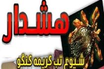 افزایش دما و احتمال شیوع تب کریمه کنگو