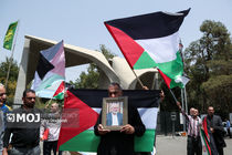 تجمع اعضای شورای دانشگاه تهران در محکومیت حادثه تروریستی شهید اسماعیل هنیه