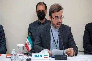 نماینده ایران نزد آژانس بین‌المللی انرژی اتمی به ادعاهای اخیر مدیرکل آژانس بین‌المللی انرژی اتمی واکنش نشان داد