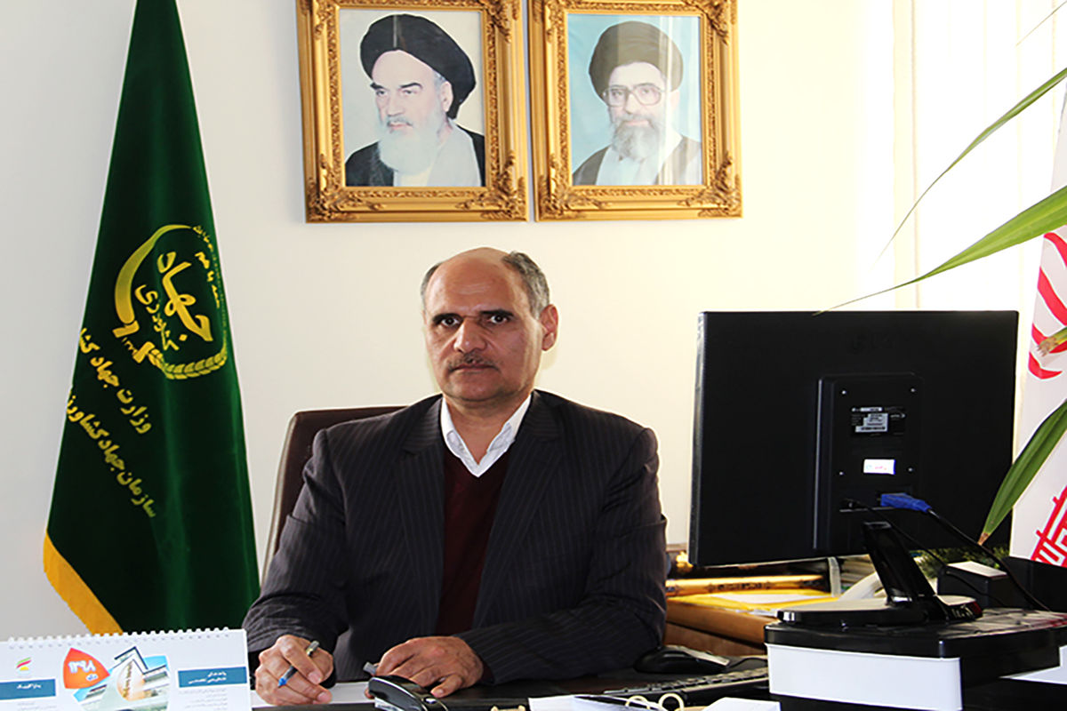 معاون بهبود تولیدات گیاهی سازمان جهاد کشاورزی خراسان رضوی