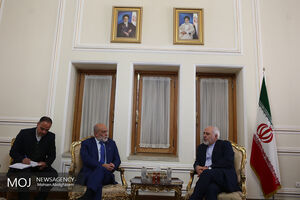 دیدار معاون وزیر امور خارجه ونزوئلا با محمدجواد ظریف