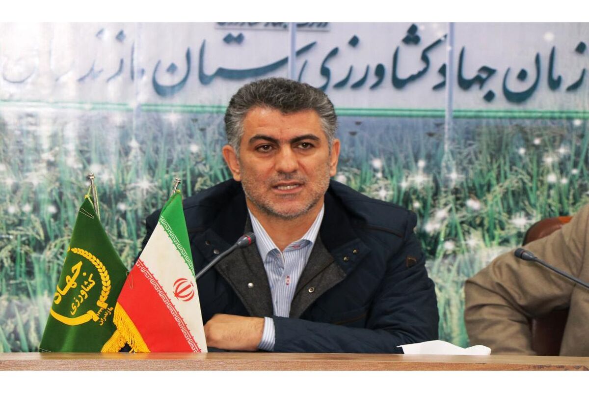 محمدی مشاور وزیرجهاد کشاورزی
