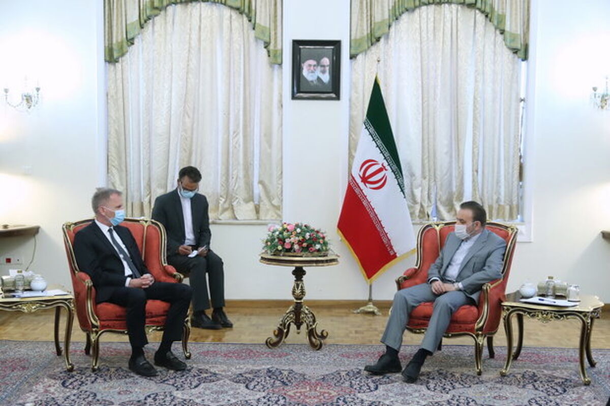 دیدار واعظی با سفیر آلمان