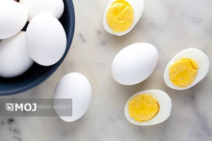 رژیم پروتئینی تخم‌مرغ، جایگزین خوشمزه برای رژیم‌های سخت