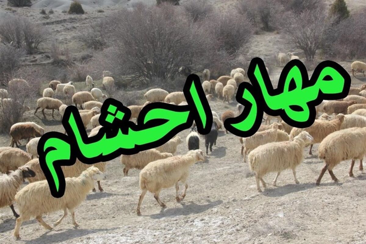 دامپزشکی