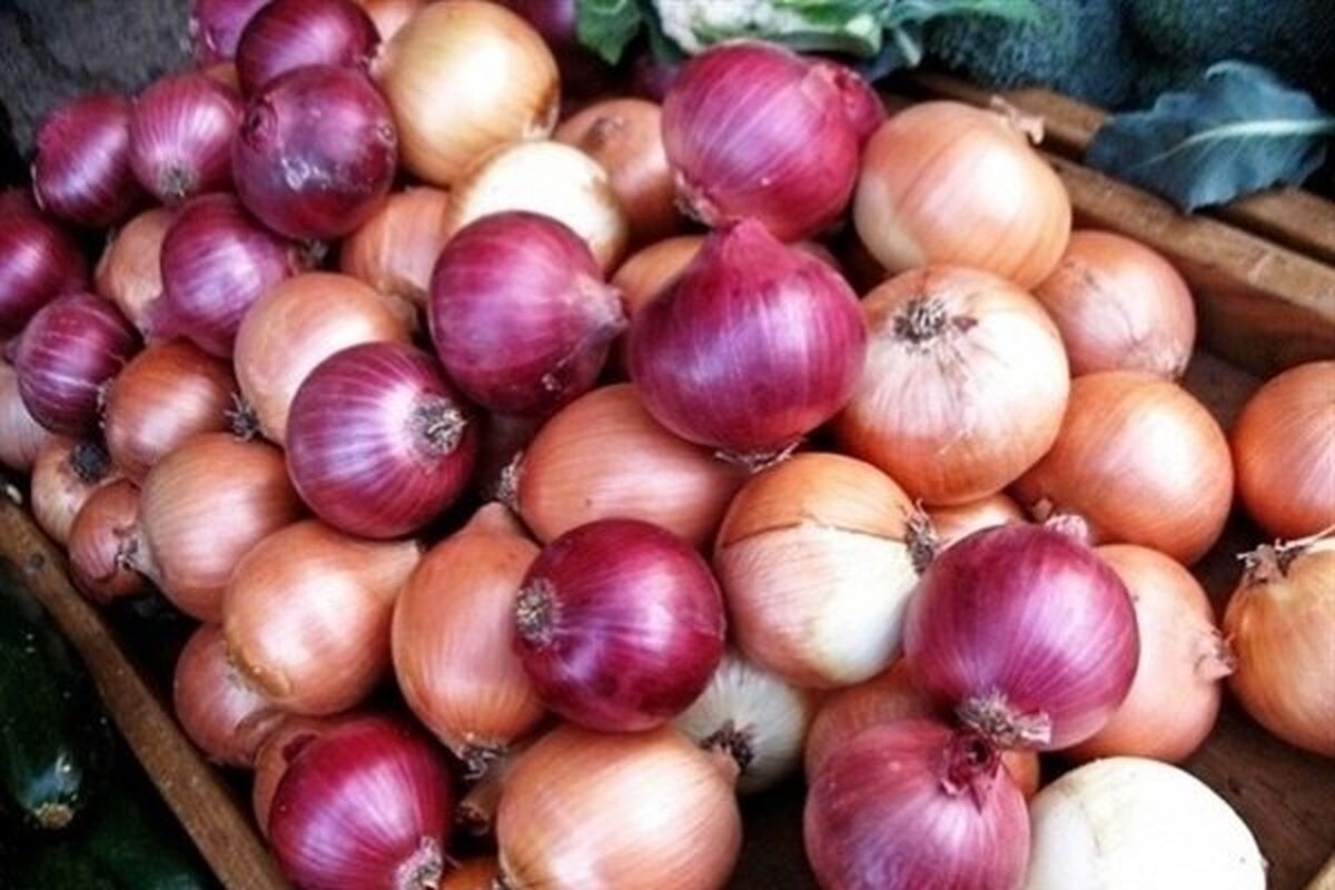 اصفهان- پیاز پاکستانی