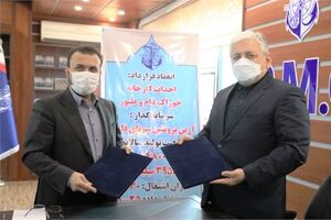 احداث کارخانه خوراک دام و طیور توسط بخش خصوصی در بندر امیرآباد